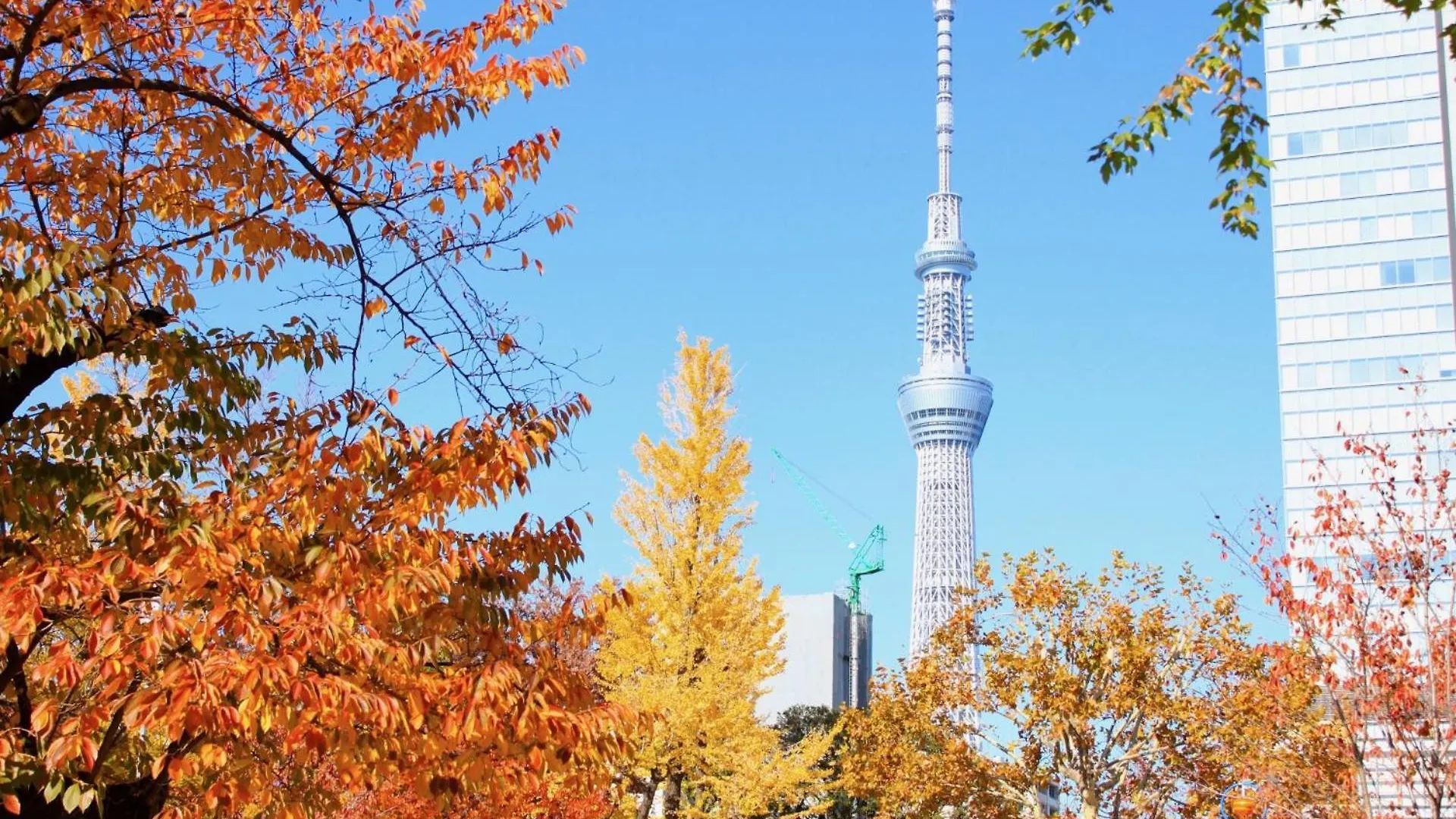 Hotel Estasia Ryogoku 東京都 日本